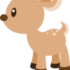 Baby Deer