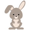 Baby Rabbit