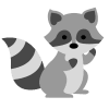 Baby Raccoon