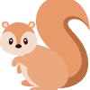 Baby Squirrel