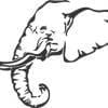Big 5 Elephant