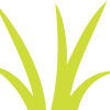 Grass 2