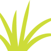 Grass 3