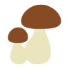 Mushroom Brown