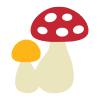 Mushrooms 2