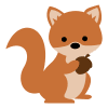 Squirrel Nut