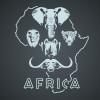 Big 5 Africa