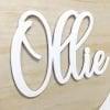 Perspex Cut Letters 20cm High